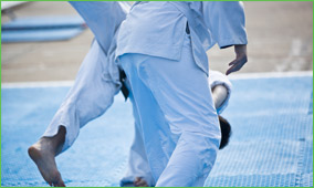 martial arts mat